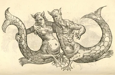 Illustration von Monstra Niliaca Parei aus Aldrovandis Geschichte der Monster, 1642