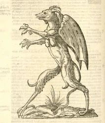 Illustration von Monstrum alatum, & cornutum instar Cacodaemonis aus Aldrovandis Geschichte der Monster, 1642
