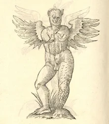 Illustration von Monstrum cornutum und alatum aliud aus Aldrovandis Geschichte der Monster, 1642
