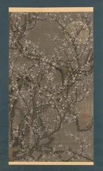 Weiße Pflaumenblüten und Mond
