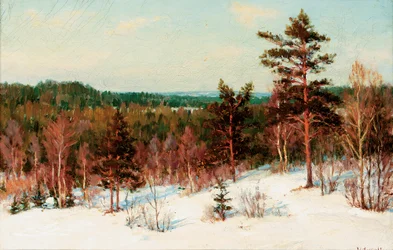 Winter - Blick über den Wald