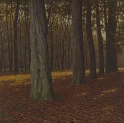 Waldlandschaft