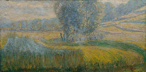 Das Feld von Rafolče