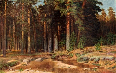 Ein Kiefernwald, 1898, 1939