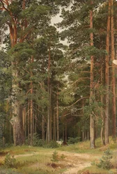 Ein Sommertag, Merikiul, 1895
