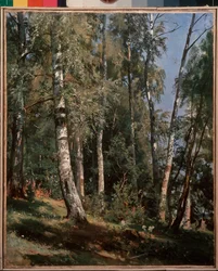 Birkenhain