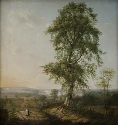 Landschaft mit einem großen Baum