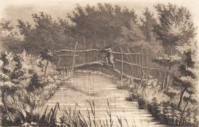 Teil des Gartens von Sanderumgaard