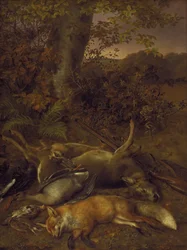 Erlegtes Wild