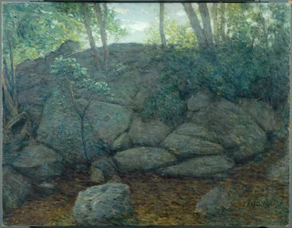 Waldgestein