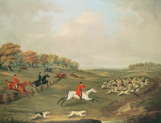Jagd in vollem Lauf