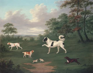 Jagdhunde in einer Landschaft