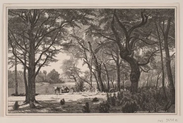 Jütländische Waldpartie