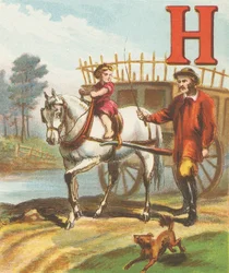 H: H ist das Pferd, so schlank und so stark; Es zieht den Heuwagen zur Wiese entlang