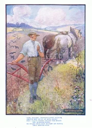 Bescheidene, purpurrote Blume, aus Englische Literatur, veröffentlicht von T C & EC Jack, ca. 1920