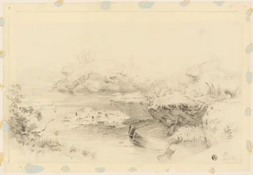 Teich mit Seerosen