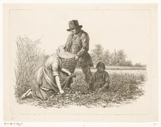 Kartoffelernter