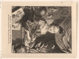 Porträt von Maria Sibylla Merian