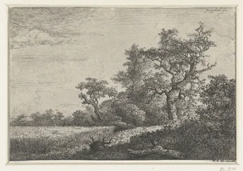 Das Kornfeld