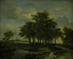 Eichenbäume an einer Straße, Abend
