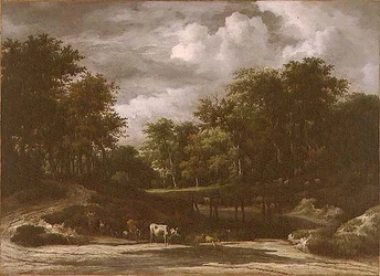 Waldlandschaft