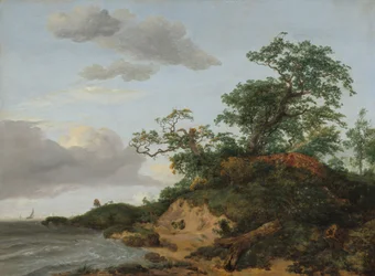 Dünen am Meer