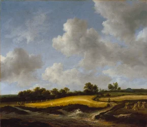 Landschaft mit einem Weizenfeld