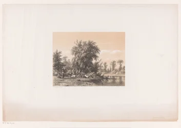 Ruhende Kühe am Wasser