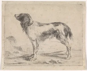 Stehender Hund