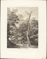Eingang in den Wald von Marino
