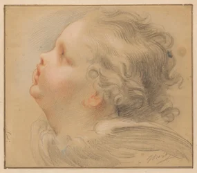 Kopf eines Cherubs, nach links