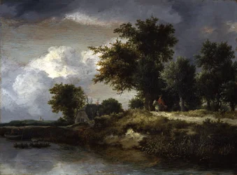 Bewaldetes Flussufer