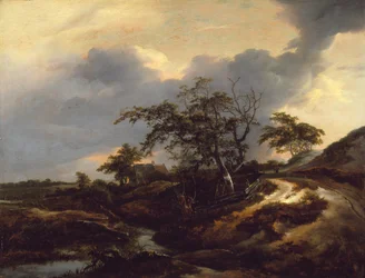 Landschaft mit Dünen
