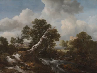 Niedriger Wasserfall in einer bewaldeten Landschaft mit einer toten Buche