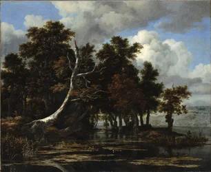Eichen an einem See mit Seerosen