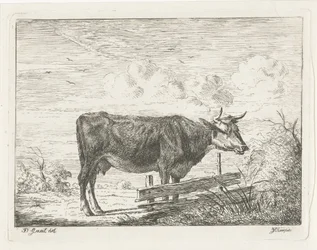 Kuh, stehend am Zaun