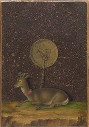 Porträt von Alvise Contarini(?); (verso) Ein angebundener Rehbock