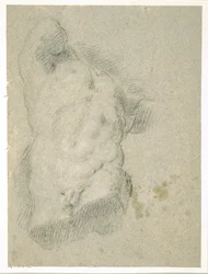 Zeichnung eines männlichen Torsos