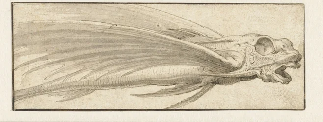 Fliegender Fisch