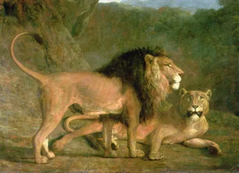 Ein Löwe und eine Löwin in einem felsigen Tal