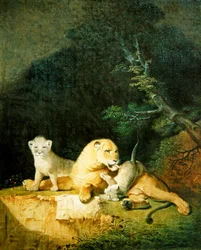 Löwin und Junge