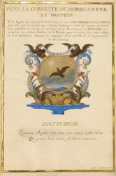 Wappen mit einem Adler