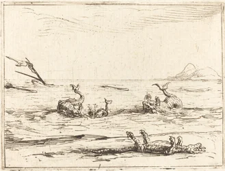 Delfine und Krokodil