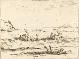 Delfine und Krokodil