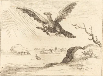 Adler und Junges