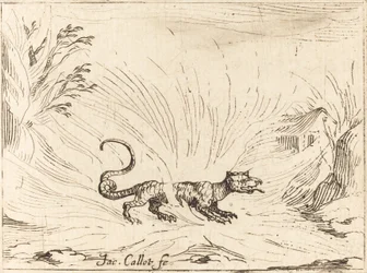 Salamander umgeben von Flammen