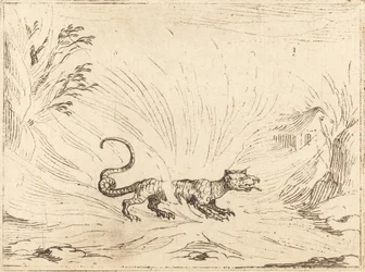 Salamander umgeben von Flammen
