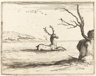 Hirsch im Wasser