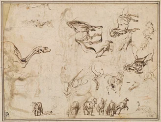 Studien von Pferden [verso]