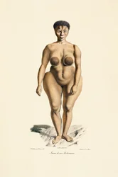 Frau der Boschman-Rasse Frontalansicht